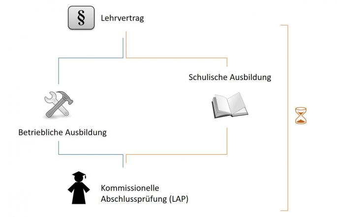 Schema der Dualen Ausbildung