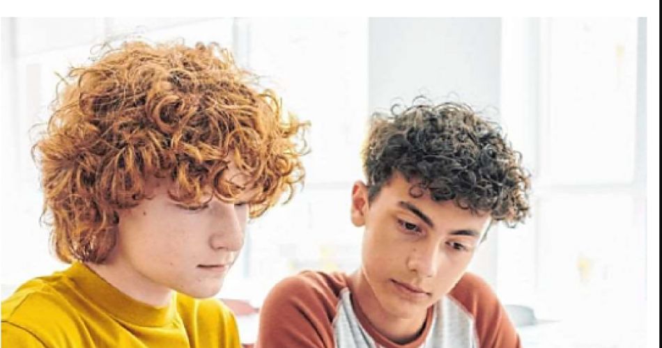 Coverbild_Ratgeber Schule