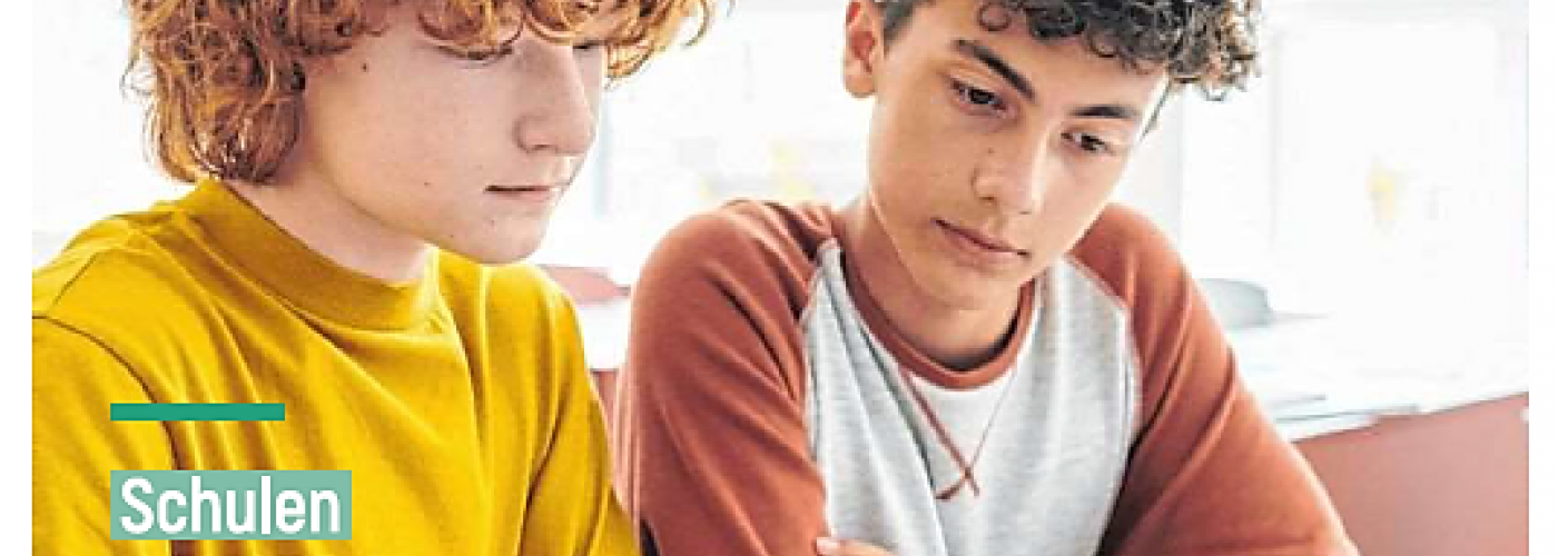 Ratgeber Schule - Mehr WERTE der LEHRE